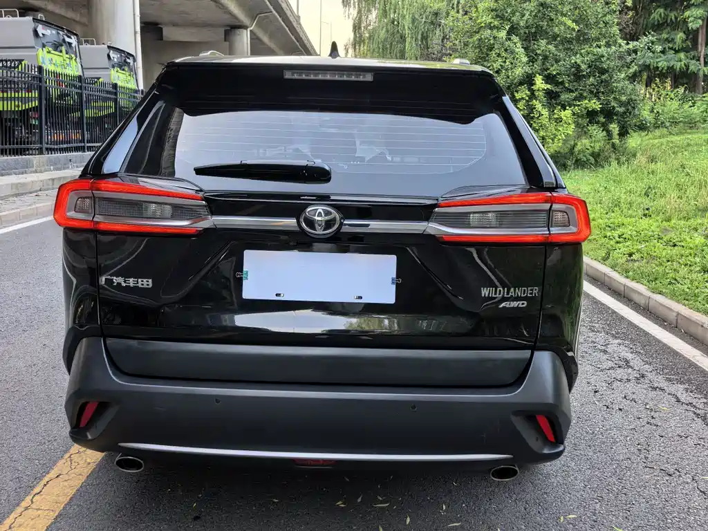 Wildlander 2.0 L CVT 4 WD Luxury PLUS