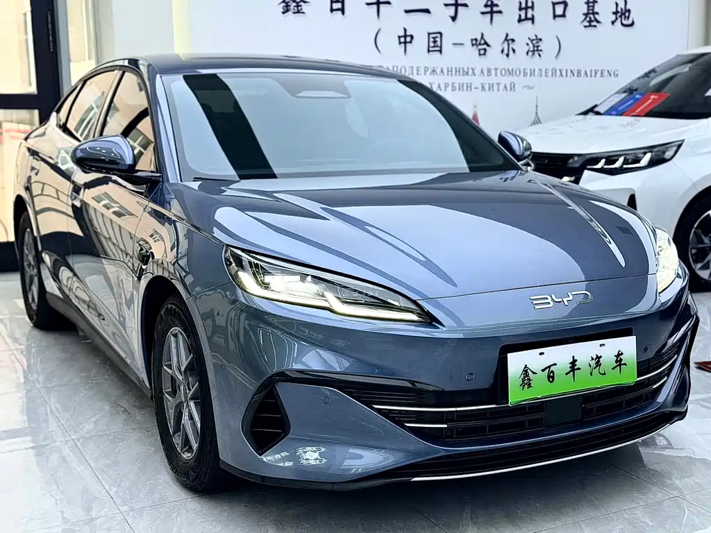 Seal 06 DM-i Smart Drive 80 KM Luxury