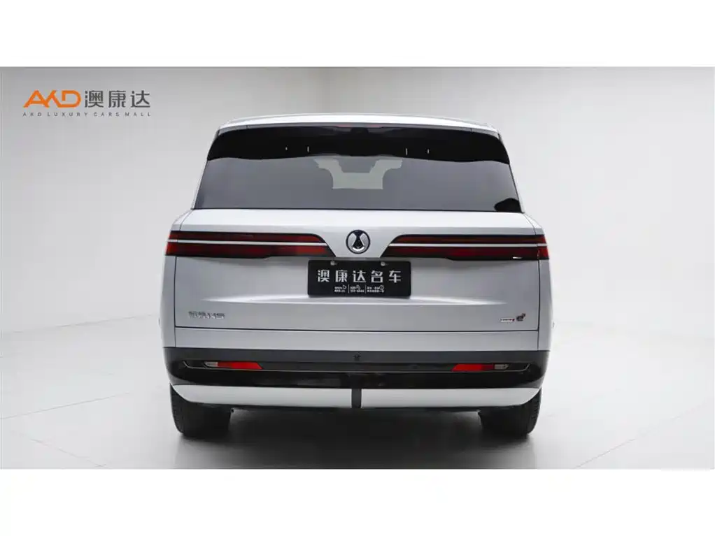 Denza N9 腾势N9/2.0 T/25款/旗舰版