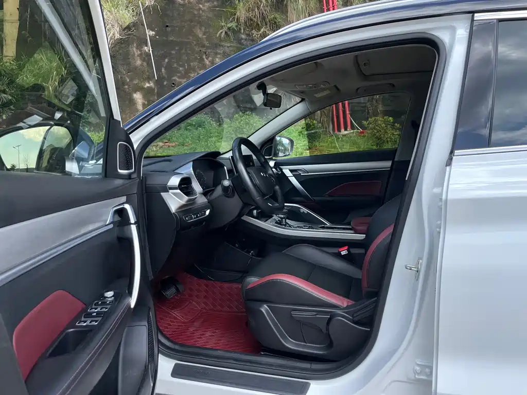 Binyue 1.4 T DCT Platinum