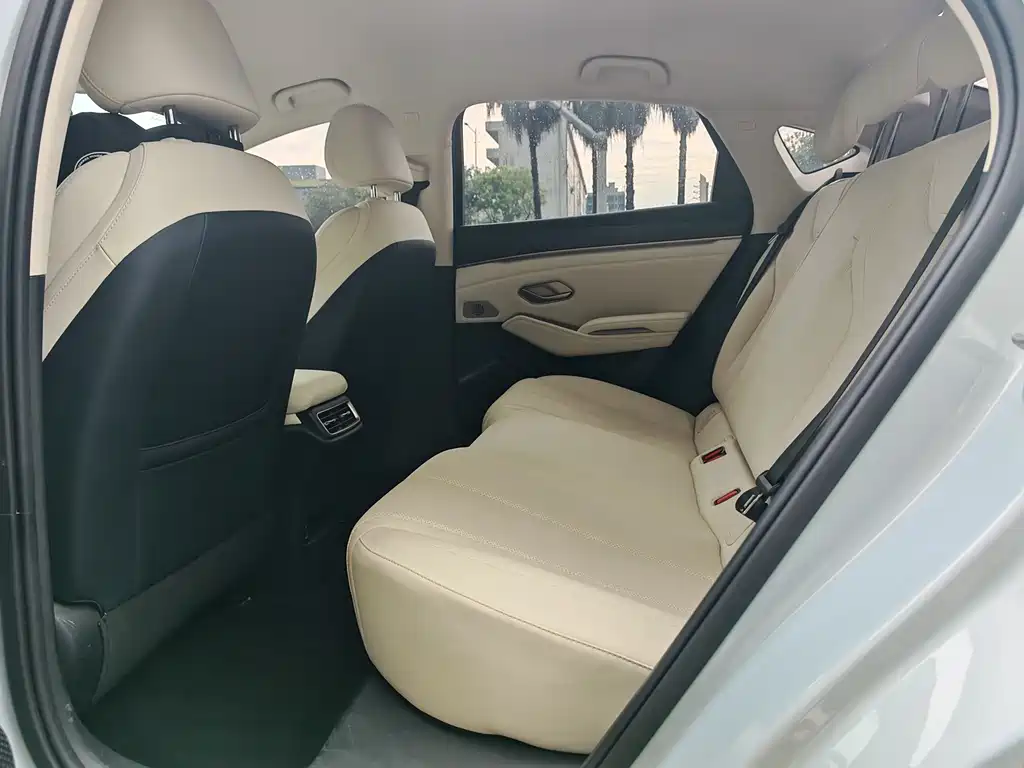 Qin L DM-i 80 KM Transcend