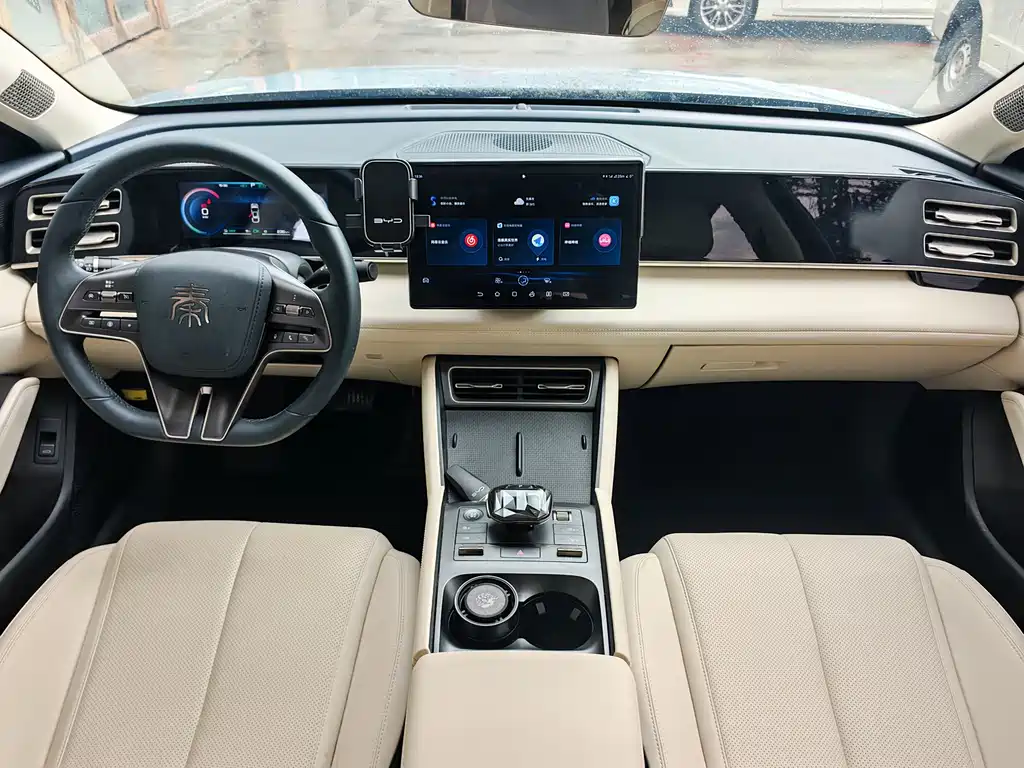 Qin L DM-i 80 KM Transcend