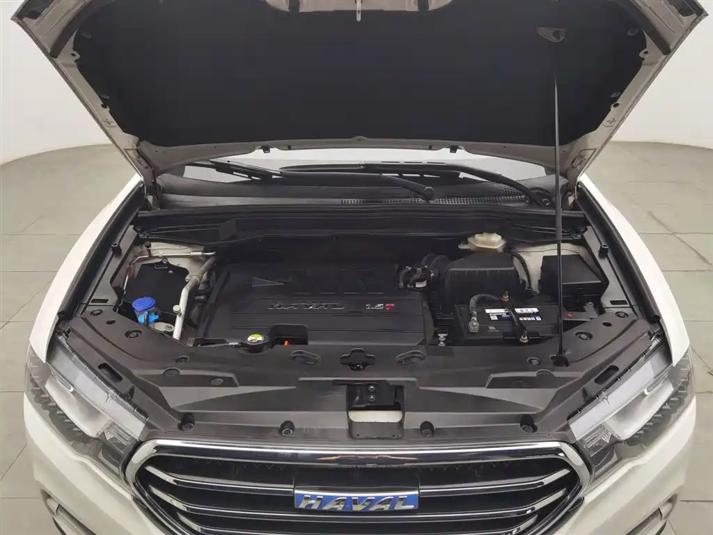 Haval H6 Coupe Blue Label 1.5 T Auto 2 WD Elite
