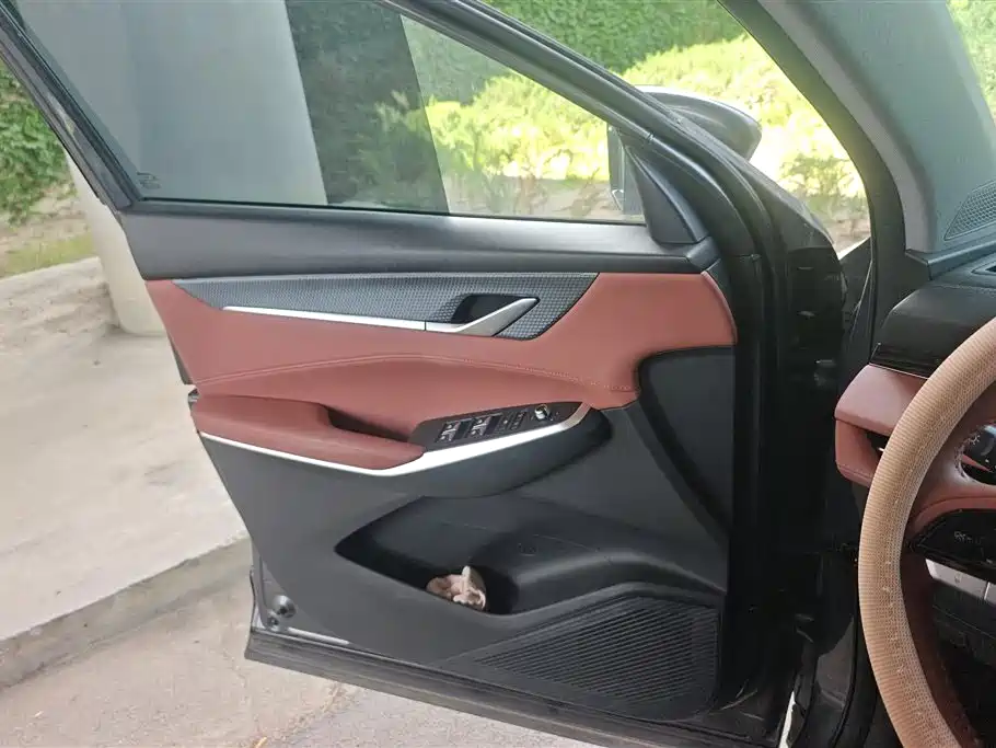 Changan CS75 PLUS 3 rd Gen 1.5 T Auto Distinguished