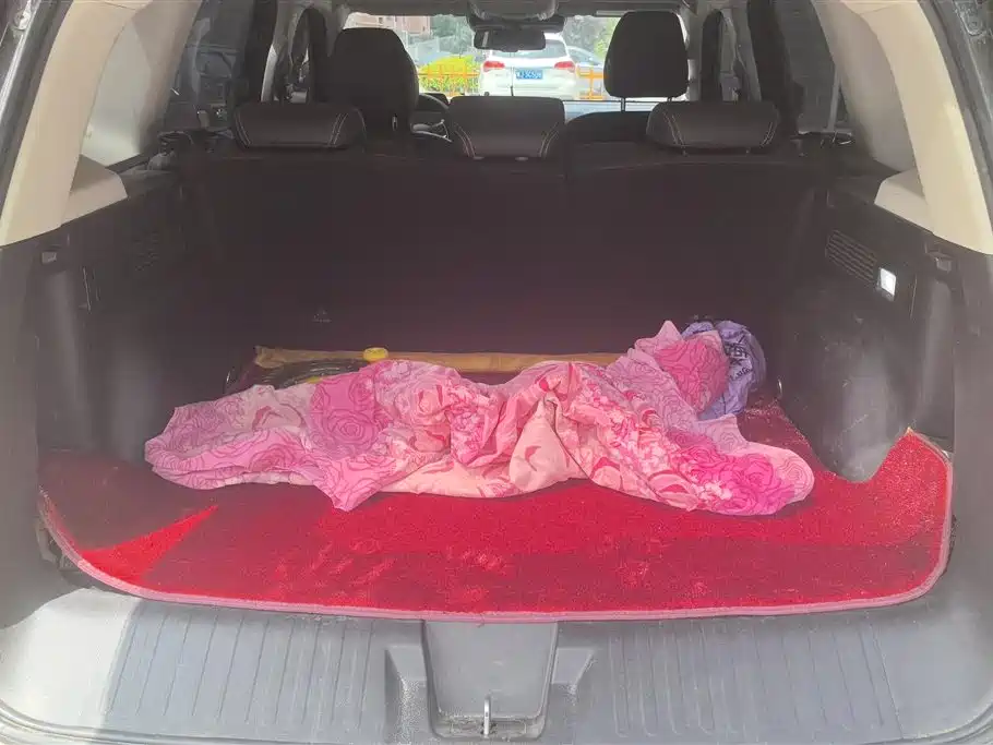 Haval Dargo 2.0 T DCT 4 WD Howling Dog