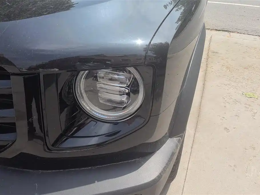 Haval Dargo 2.0 T DCT 4 WD Howling Dog