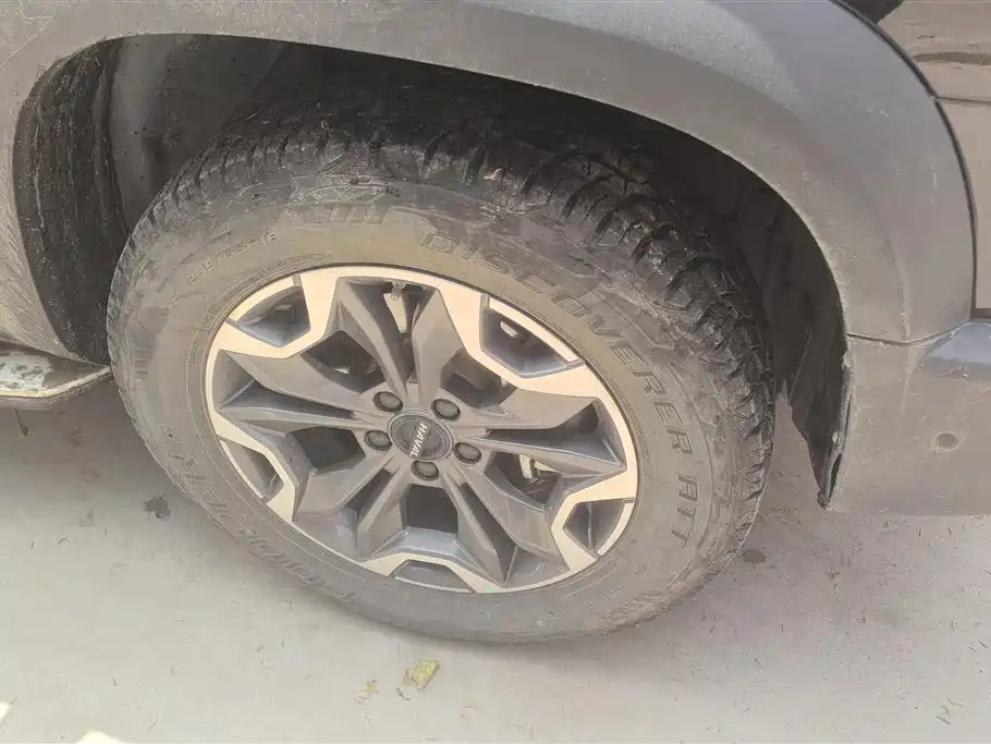 Haval Dargo 2.0 T DCT 4 WD Howling Dog