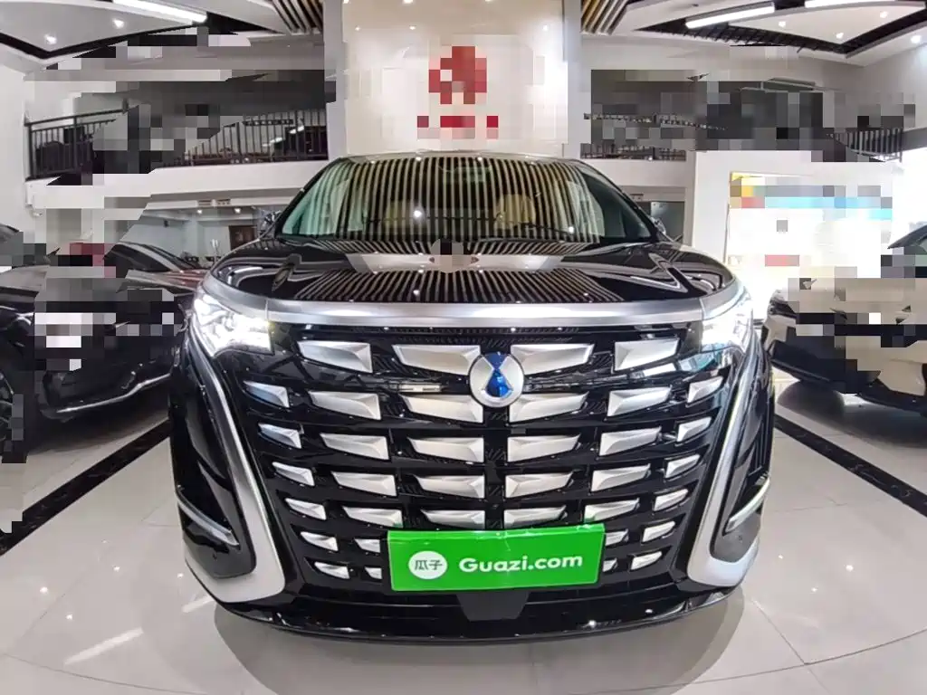 Denza D9 DM-i 970 Luxury