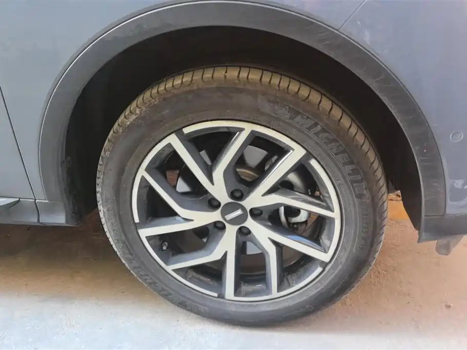 WEY Latte DHT-PHEV 魏牌 拿铁DHT-PHEV 2022款 1.5 T 两驱超大杯