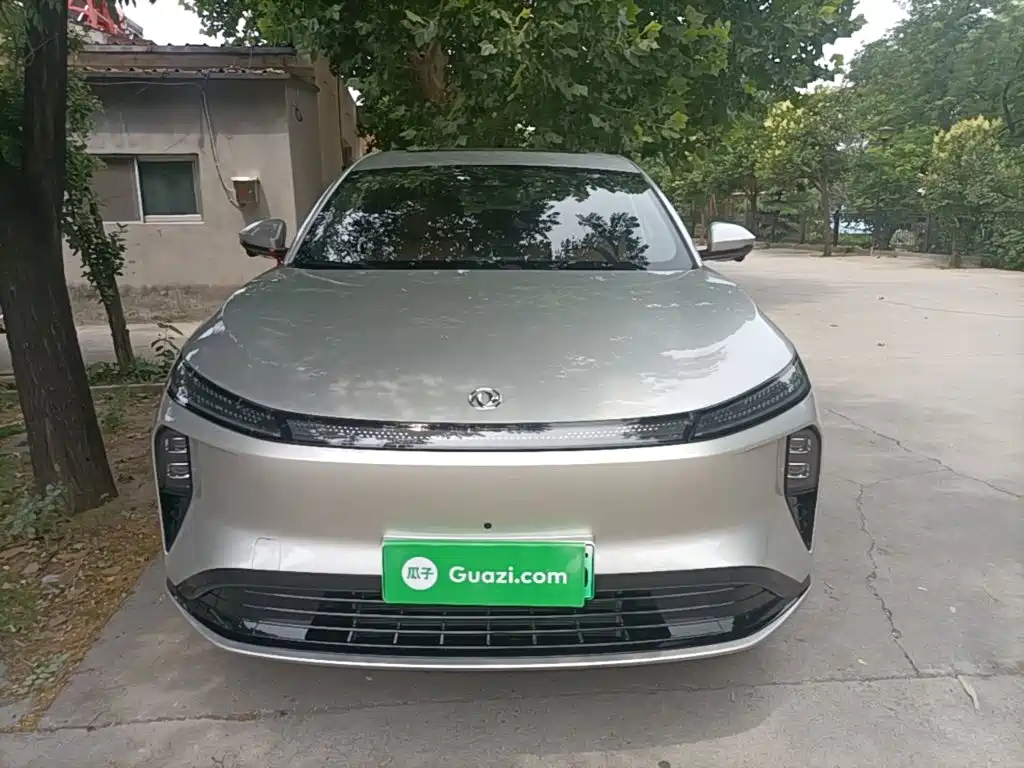 Dongfeng Fengshen L8 185 KM Dream