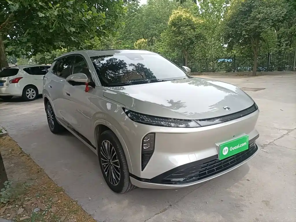 Dongfeng Fengshen L8 185 KM Dream