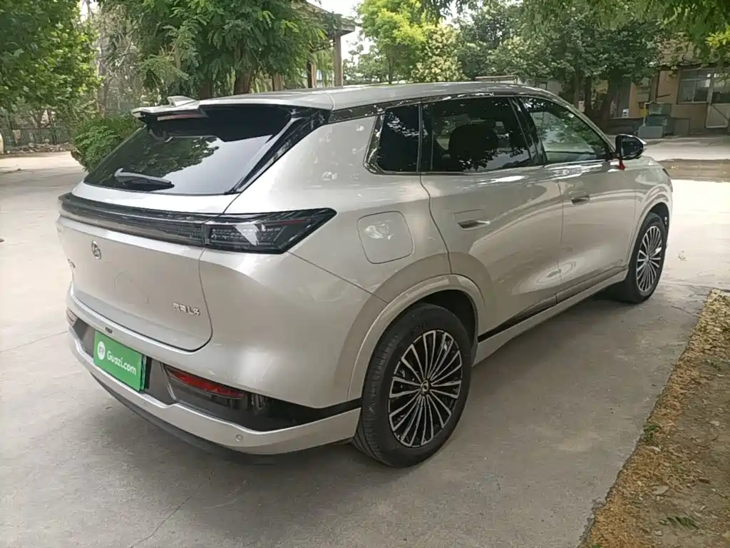Dongfeng Fengshen L8 185 KM Dream