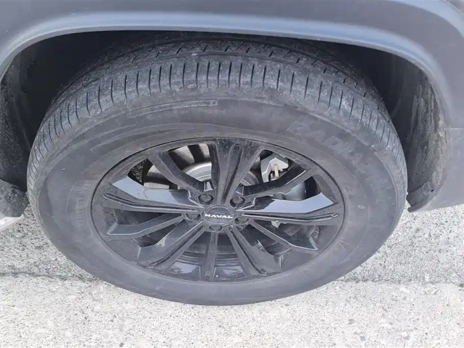 Haval Menglong NEV Hi4 102 Pro