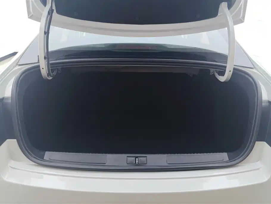 C4 Sega 230 THP Auto Luxury