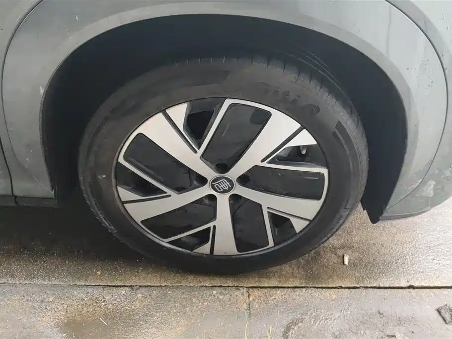 Tang L DM 200 KM 4 WD Lidar Flagship