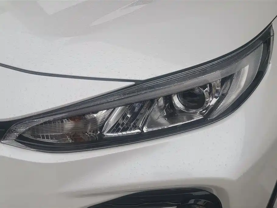 Wildlander 2.0 L CVT 4 WD Luxury