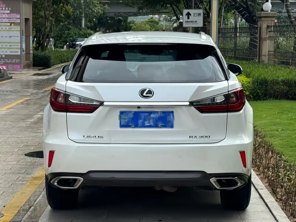Lexus RX 300 2 WD Comfort CN-V