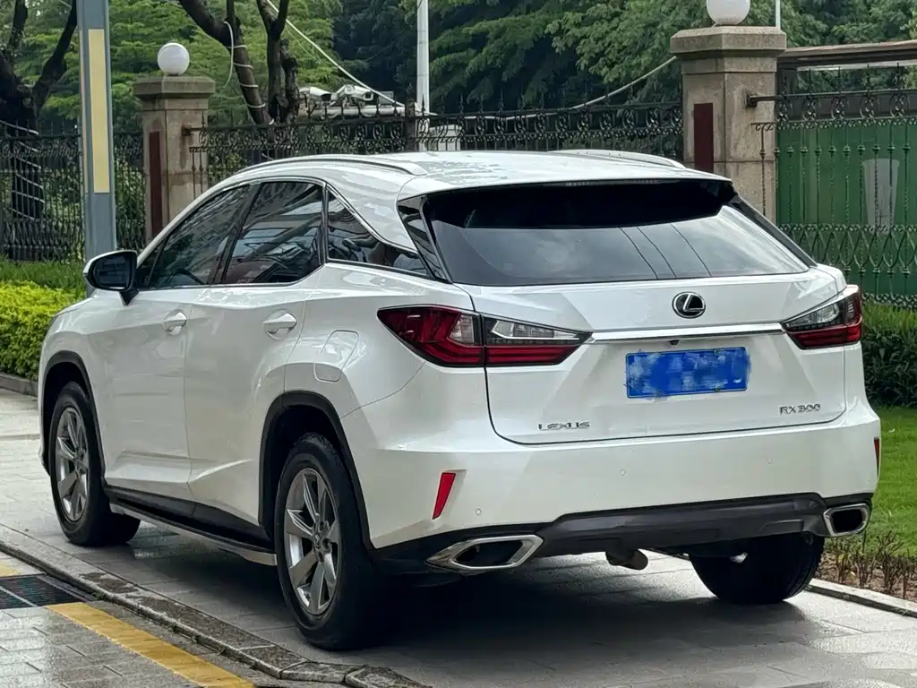 Lexus RX 300 2 WD Comfort CN-V
