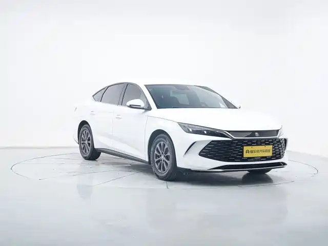 Qin L DM-i 80 KM Leading