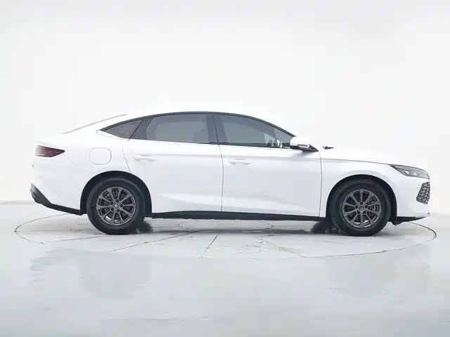 Qin L DM-i 80 KM Leading