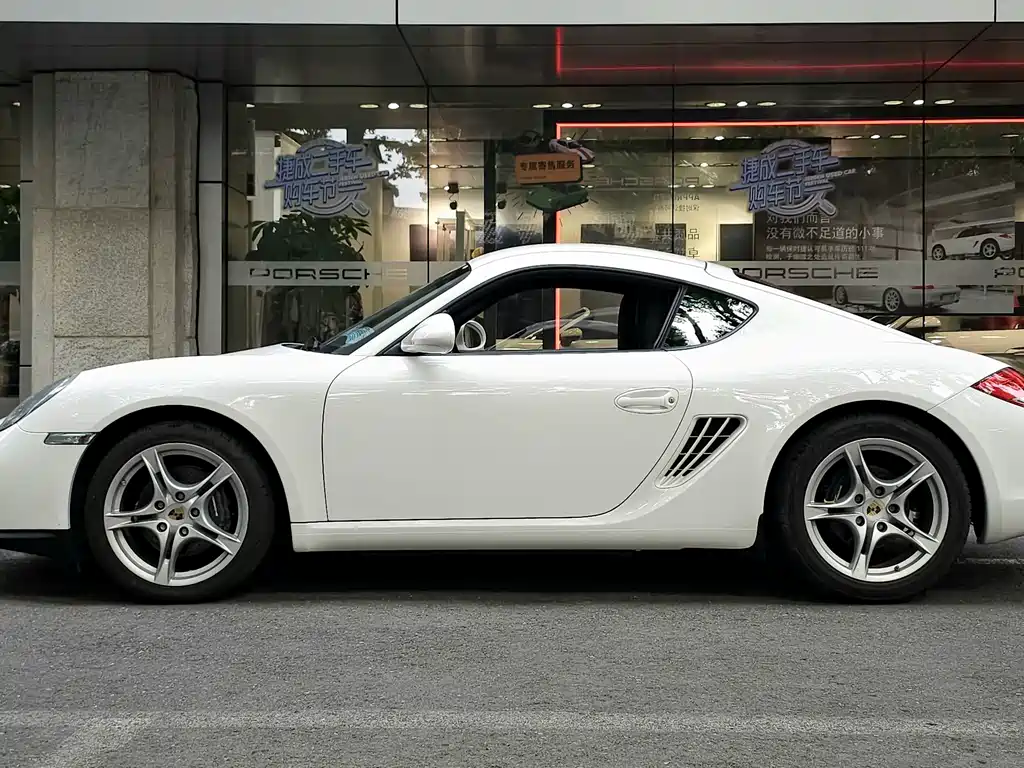 Cayman Cayman 2.9 L