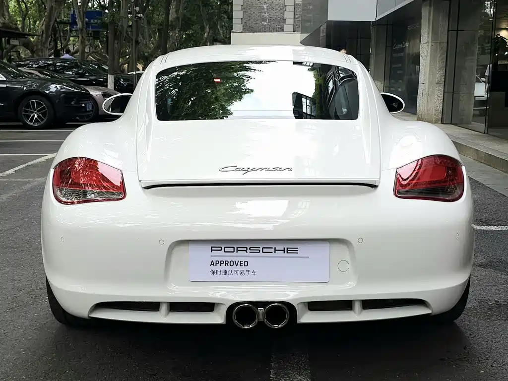 Cayman Cayman 2.9 L