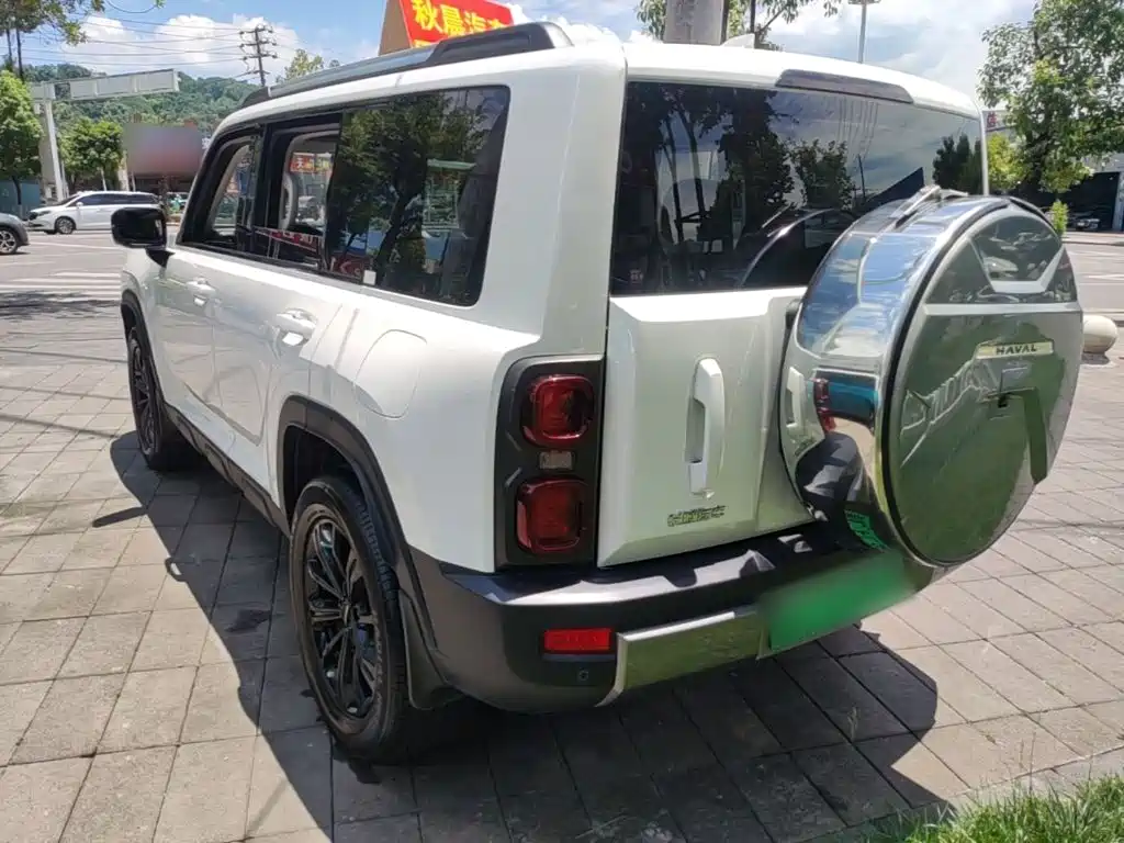 Haval Menglong NEV Hi4 102 Pro