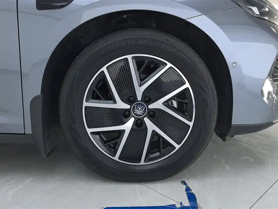 Qin L DM-i Smart Drive 120 KM Transcend