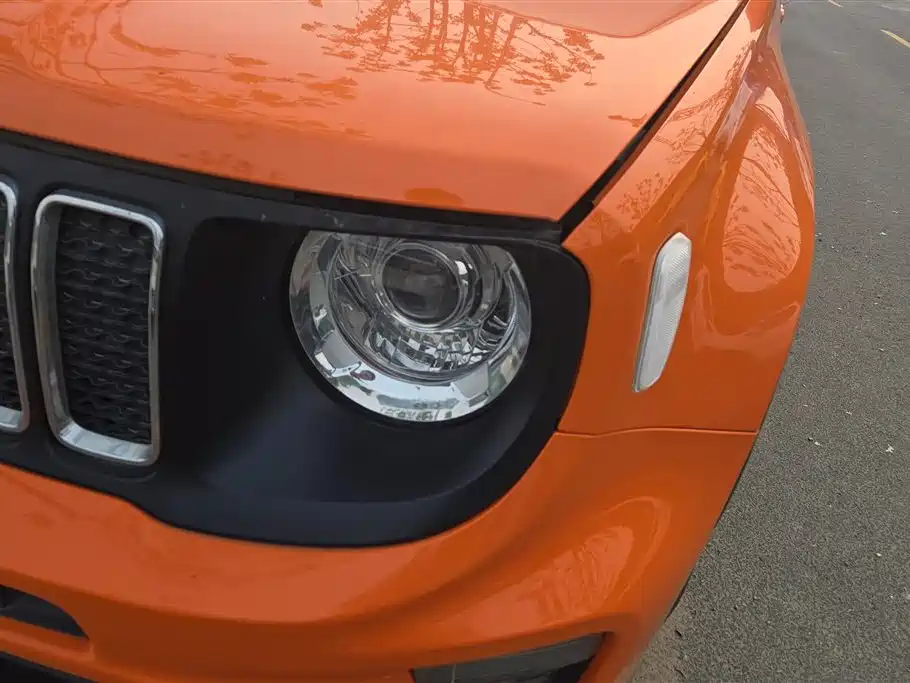 Renegade 220 T Auto Leading