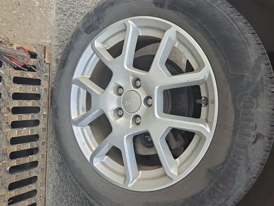 Renegade 220 T Auto Leading