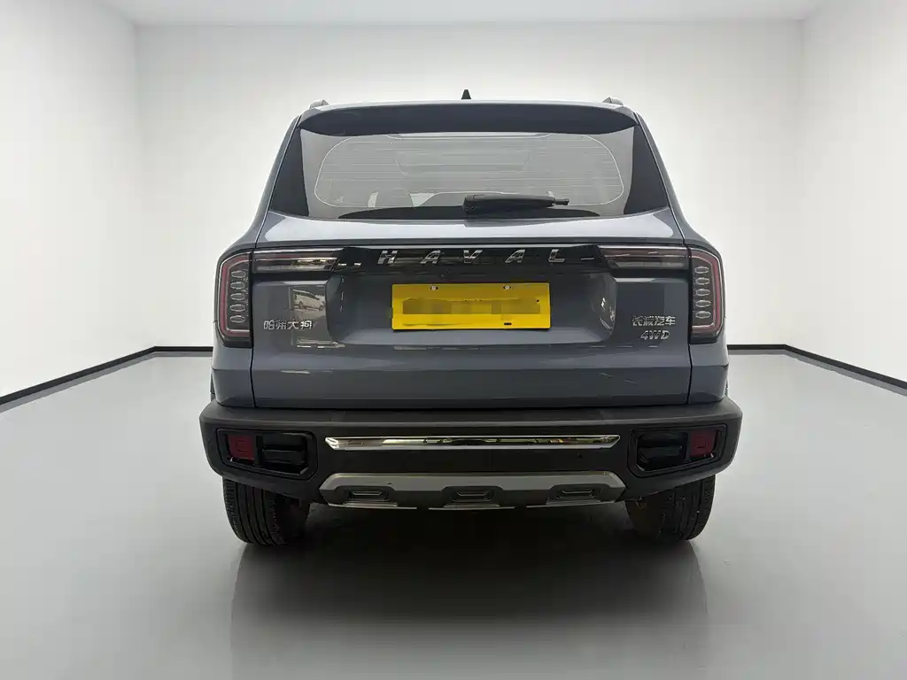 Haval Dargo 2.0 T DCT 4 WD Brilliance Country Dog
