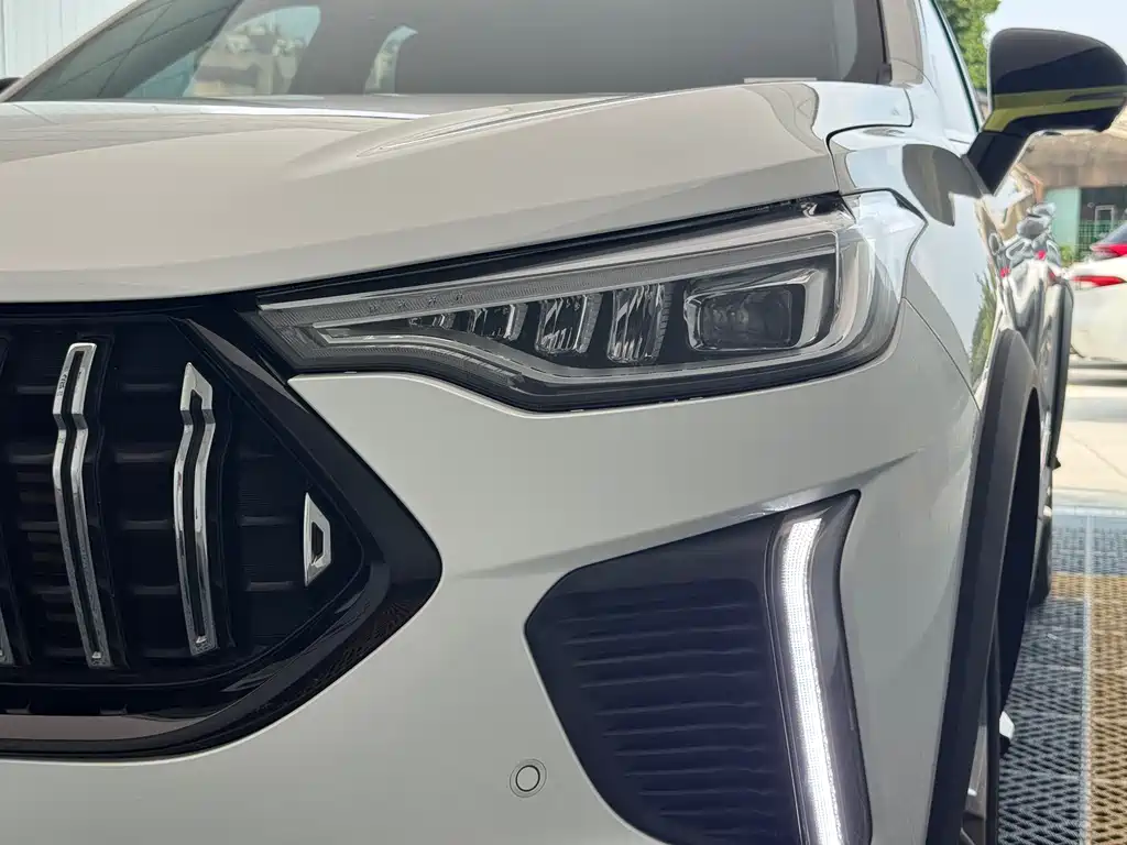 Haval Chitu Power Enjoyment 1.5 T Bronze Rabbit
