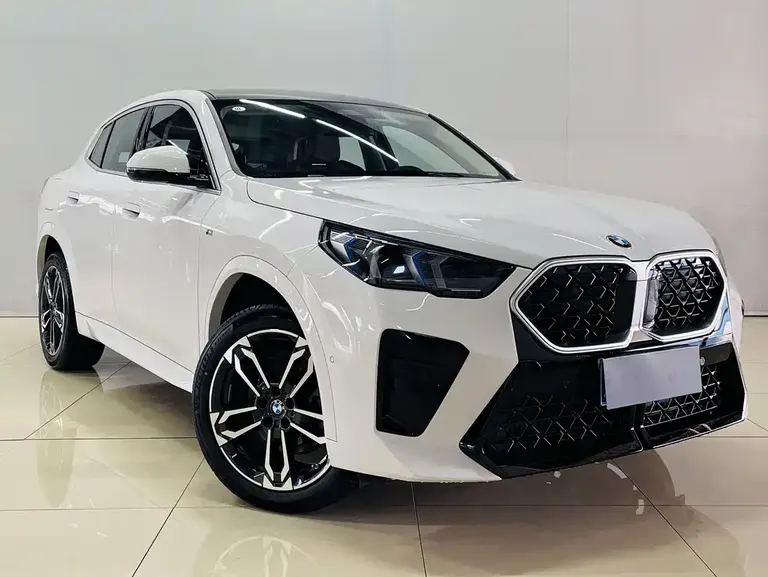 BMW X2 (Import) sDrive25 i M Sport Package