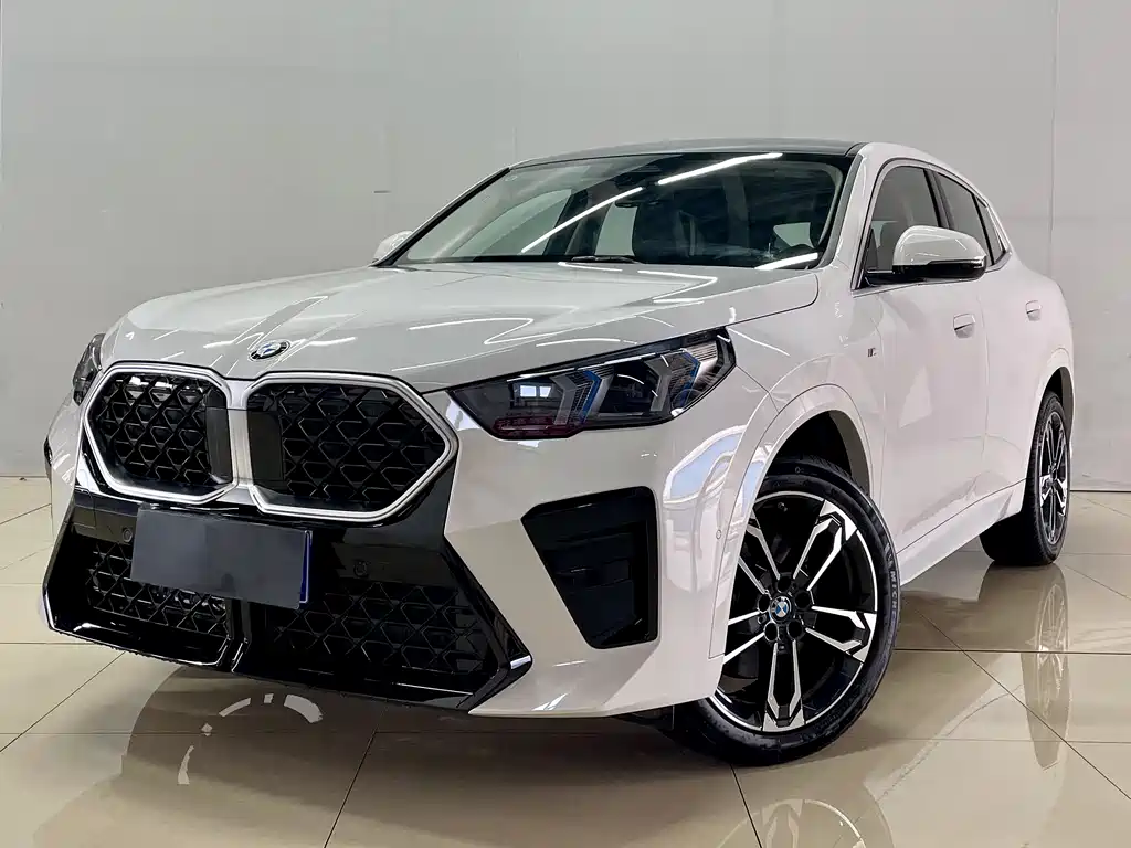 BMW X2 (Import) sDrive25 i M Sport Package