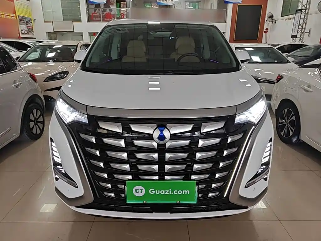 Denza D9 DM-i 1050 Premium