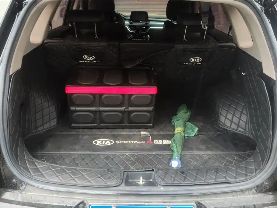 Sportage 2.0 L Auto Smart Enjoyment Luxury