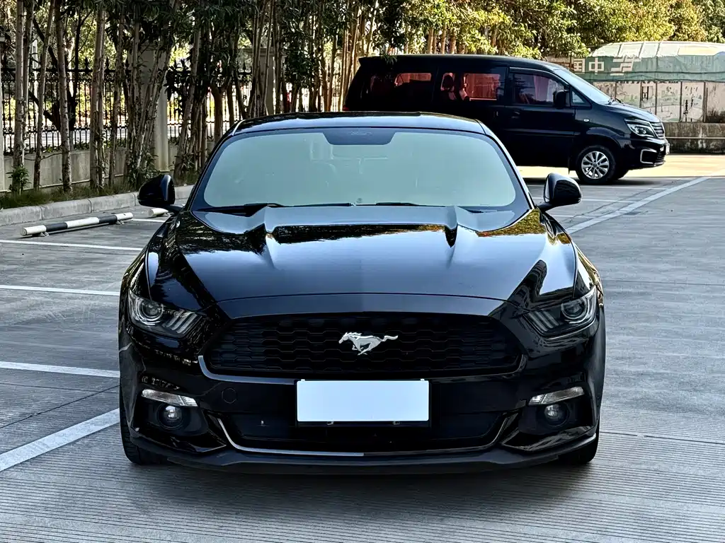 Mustang 2.3 T Sport