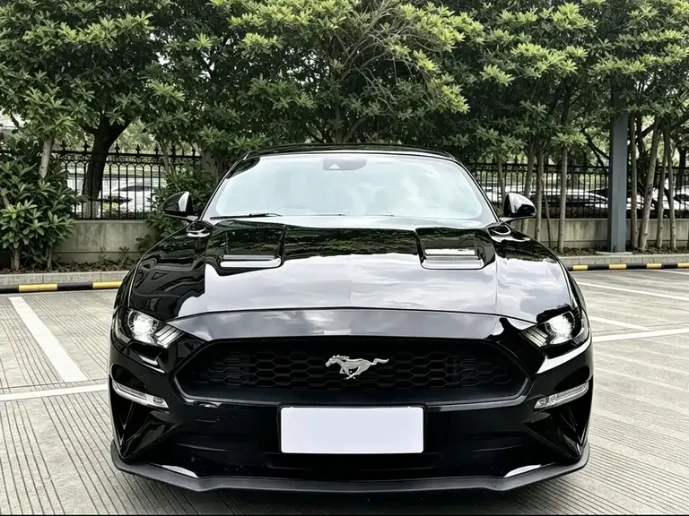 Ford Mustang 2.3 L EcoBoost