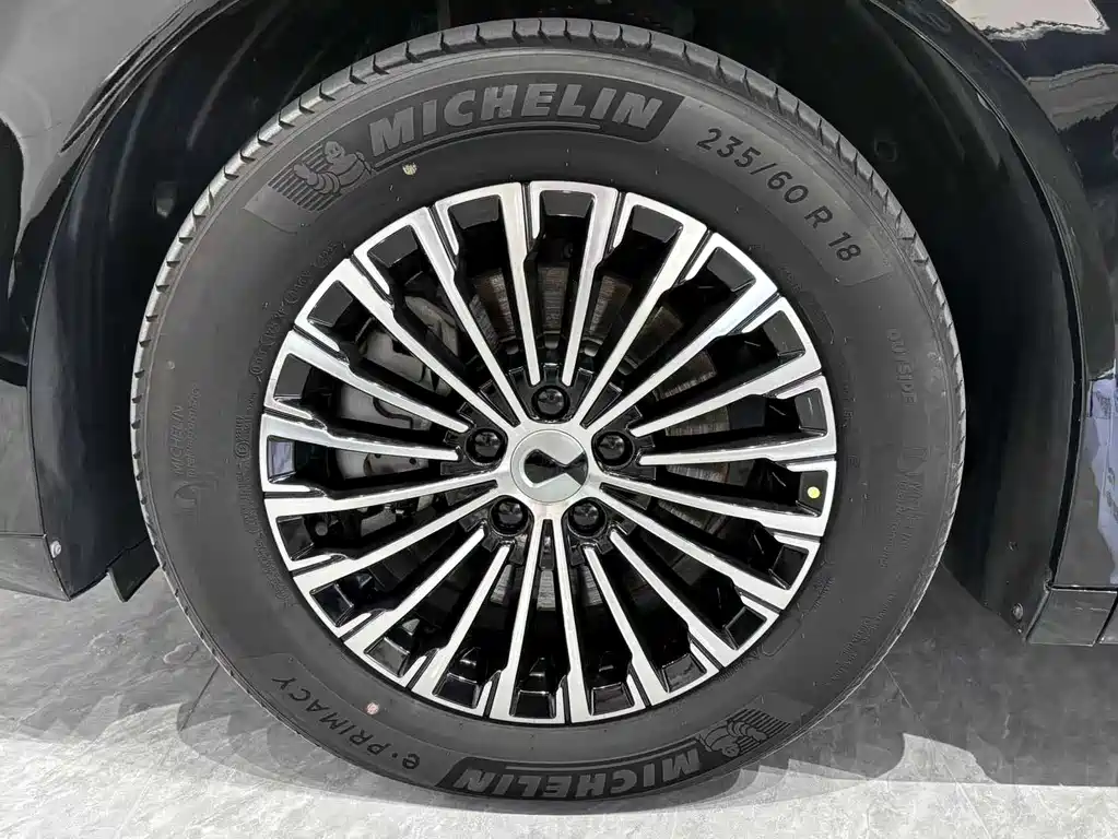 Denza D9 DM-i 970 4 WD Honored