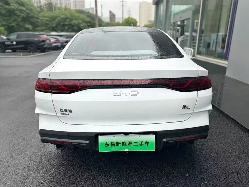 Qin L DM-i 80 KM Transcend