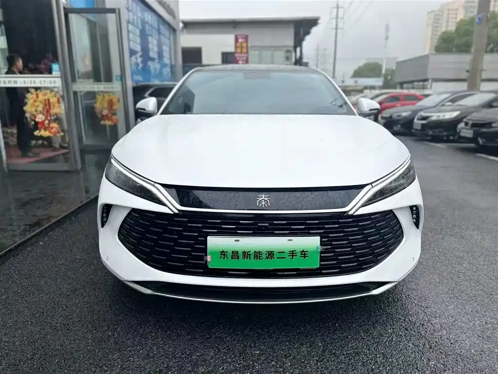 Qin L DM-i 80 KM Transcend