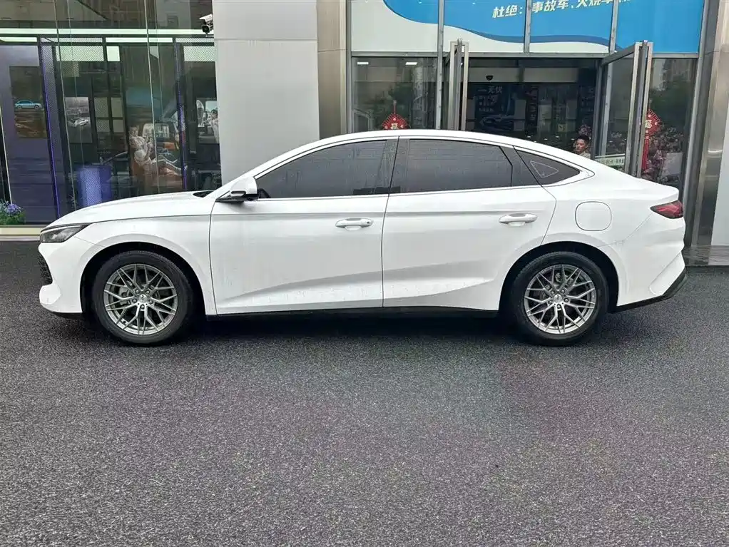 Qin L DM-i 80 KM Transcend
