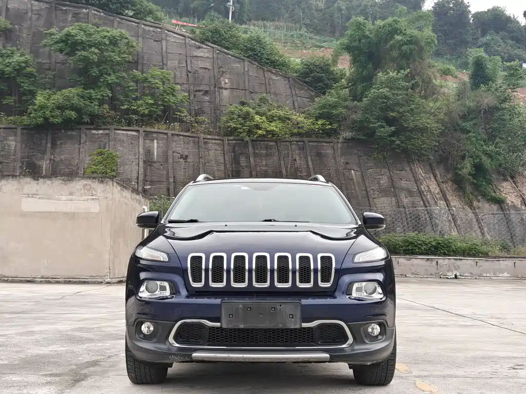 Cherokee 2.4 L Professional Intelligent