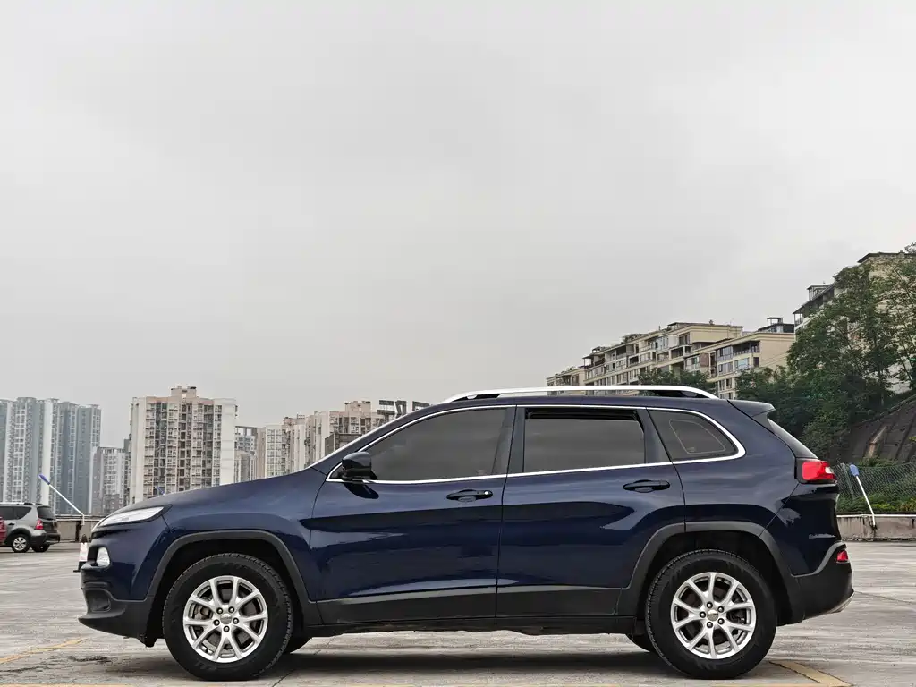 Cherokee 2.4 L Professional Intelligent