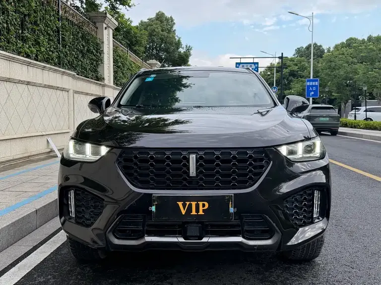 WEY VV5 2.0 T 2 WD Terminator