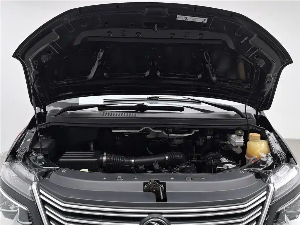 Lingzhi M5 L 1.6 L Utility