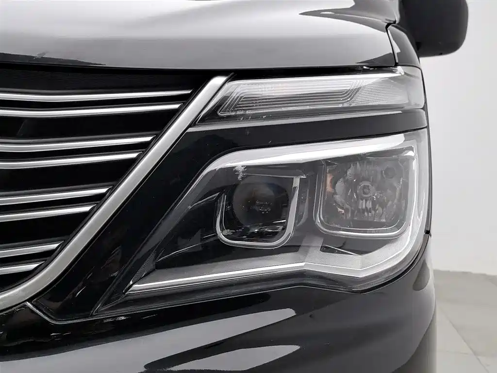 Lingzhi M5 L 1.6 L Utility
