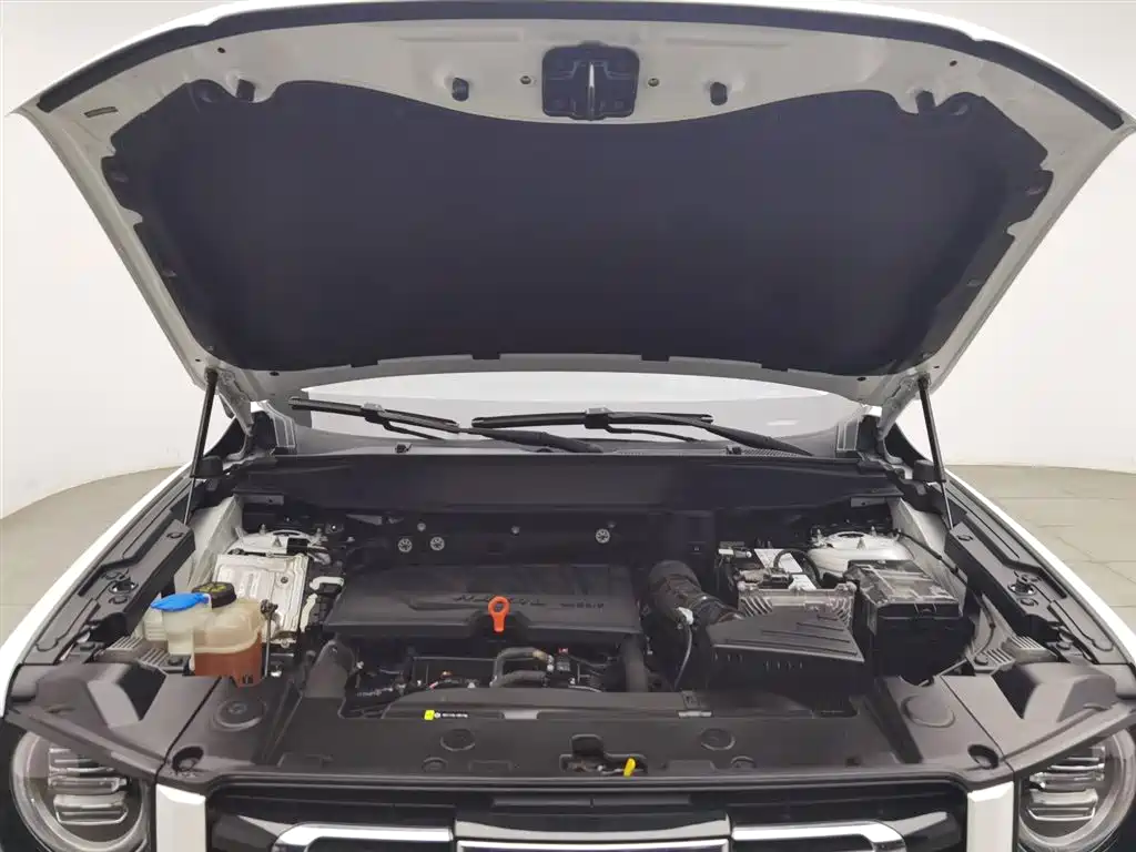 Haval Dargo 1.5 T DCT 2 WD Malinois - Wangcai