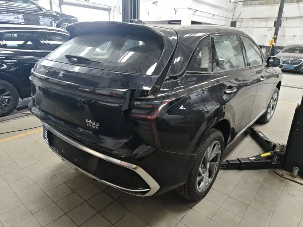 Hongqi HS3 PHEV 115 km Power Action