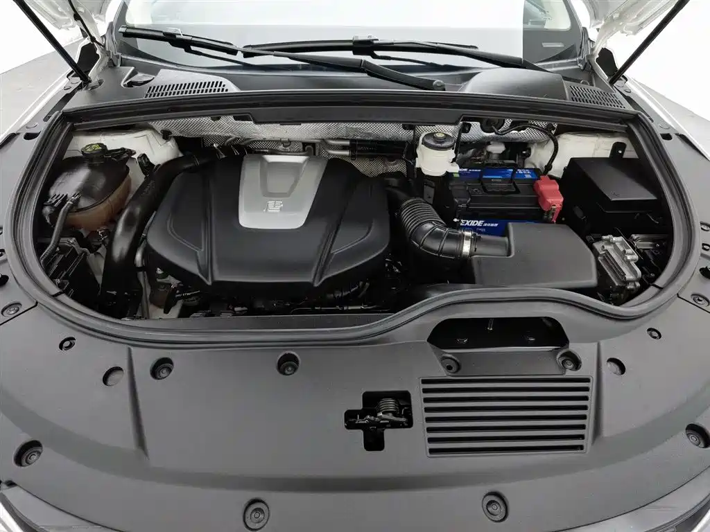 Tang 2.0 T Auto Connected Honored 7-seat CN-V